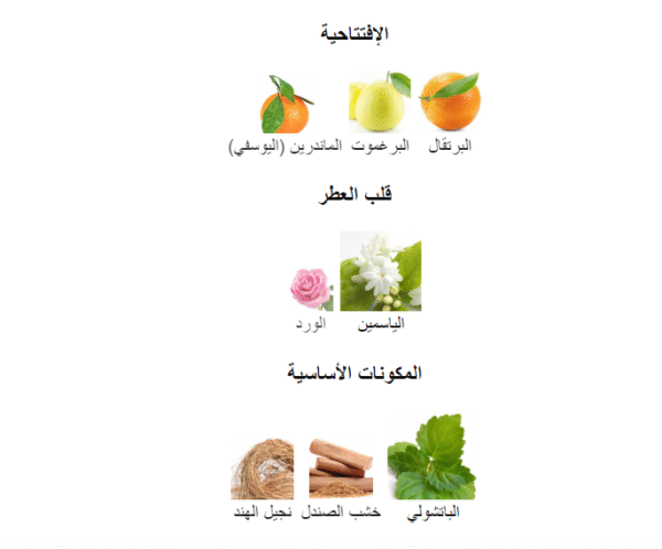 ⁦عطر عندليب أصداف 100مل⁩ - الصورة ⁦4⁩