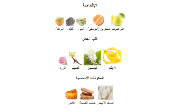 ⁦عطر يقين أصداف 100 مل⁩ - الصورة ⁦4⁩