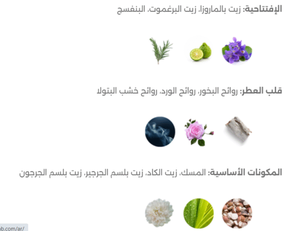 ⁦عطر نسيم الليل 100 مل⁩ - الصورة ⁦3⁩