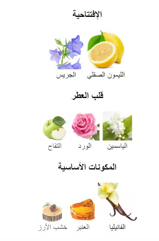 عطر رنا 100 مل - الصورة 4