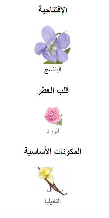 عطر لاريب 100 مل - الصورة 5