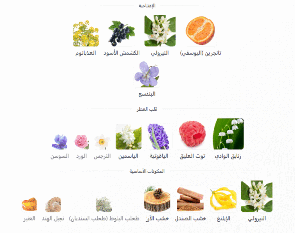 عطر بلو الرحاب -للرجال- 50 مل