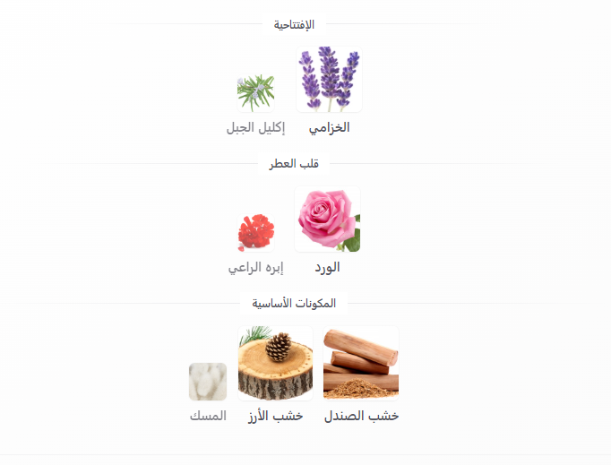 رسالة عطر كشمير 100 مل - الصورة 2