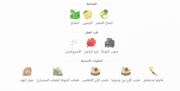 رسالة عطر امير 100 مل