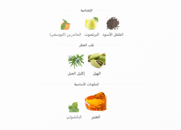رسالة عطر اليكسير 100 مل