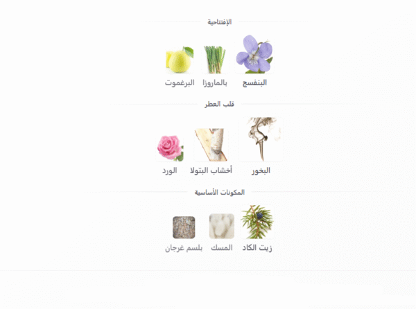 الرحاب عطر نسيم الليل 100 مل